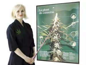 Elito naujienos: Kas apmokėjo Morganos Danielės narkotikų paieškas?